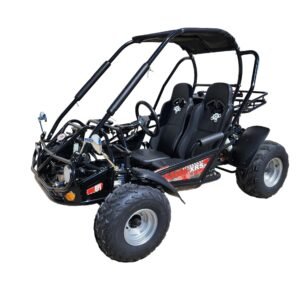 Trailmaster Eagle 200XRS Buggy / Go Kart Full Size Youth
