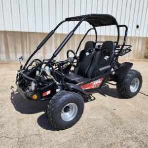Trailmaster Eagle 200E XRS EFI Buggy / Go Kart Full Size youth Adult Off road Go Kart