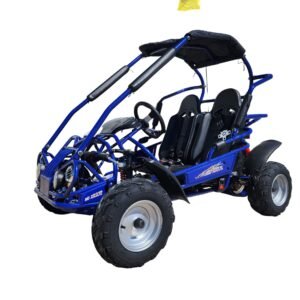 TRAILMASTER Eagle Mid XRX Youth Go Kart Buggy for ages
