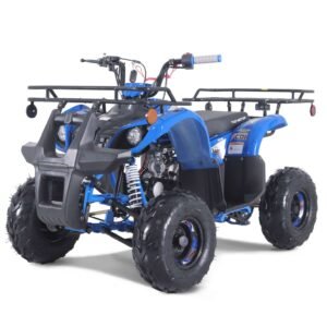 Tao D125 107cc Youth ATV