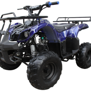 Coolster 3125R Mid-Size Deluxe Utility Youth Quad - 125cc