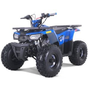 Tao Mudhawk 10 120cc Youth ATV