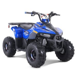 Tao Mudhawk 6 110cc Kids ATV