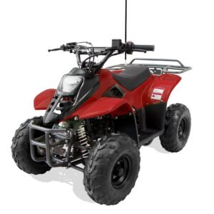 Trailmaster T110 Youth Sports ATV - 6" Wheels