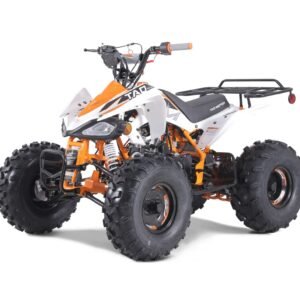 Tao Cheetah G125 107cc Youth ATV