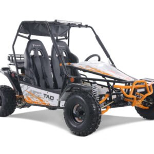 Tao Baja 200 Adult Off Road Go Kart