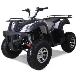 Tao Bull 200S 169cc Adult ATV