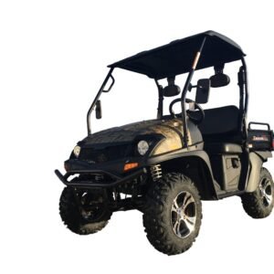 TrailMaster Taurus 200E-U EFI UTV (2 Seater) / Golf Cart / side-by-side Fuel Injected