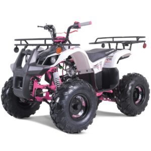 Tao T-Force T125 107cc Youth ATV