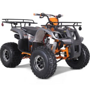 Tao T-Force Platinum 120cc Youth ATV