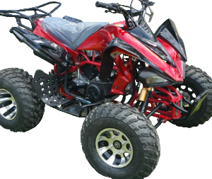 RPS Blizzard 200 Sport ATV - Adult Full Size