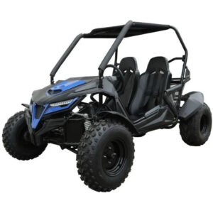 Trailmaster Cheetah 200E Off Road UTV / Go Kart / Fuel Injected