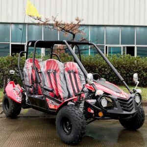 Trailmaster Ultra Blazer 4-200EX EFI Buggy Go kart