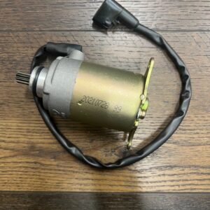 STARTING MOTOR(STARTER) (2)