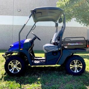 TrailMaster Taurus 200U UTV (2 Seater) / Golf Cart