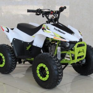 TrailMaster N110 Youth ATV 110cc - 6.8HP Automatic Electric Start