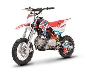 Trailmaster JHL MK110-ES