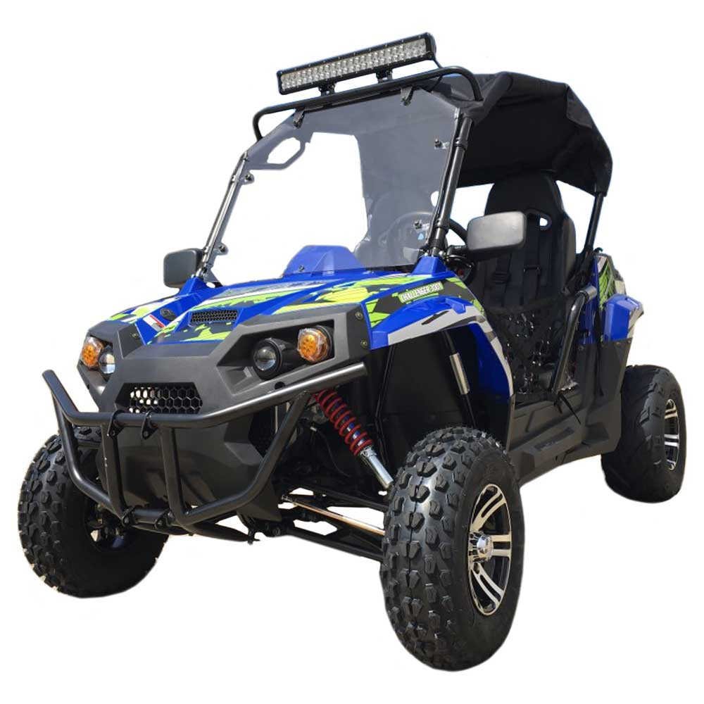 TrailMaster Challenger 200EX EFI (2 Seater) UTV Deluxe - Image 2