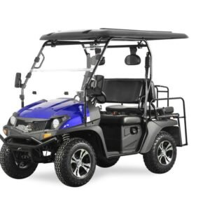 TrailMaster Taurus 200GX UTV / Golf Cart / side-by-side With
