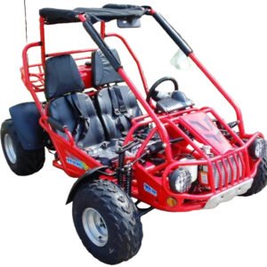 Trailmaster Eagle 300XRSE EFI Ultra Buggy Go Kart Largest Engine
