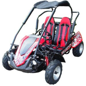 Trailmaster Blazer 200R Go Kart Youth Go Kart. Ages 10 and up