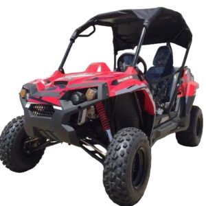 Trailmaster Challenger 300E EFI (2 Seater) UTV / side-by-side