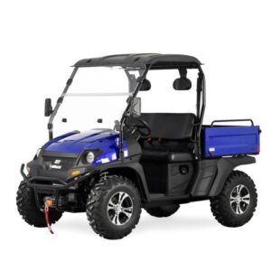 Trailmaster Taurus 450-U UTV High/Low Gear- 4 wheel Drive (2 Seater)