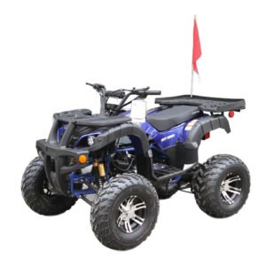 RPS Desert 200 Utility ATV Deluxe Full Size Adult ATV